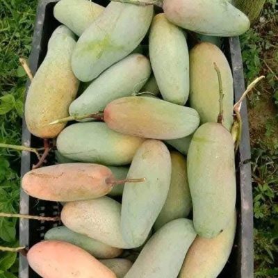 WhatsApp Image 2025-07-05 at 21.59.37_ec152b11