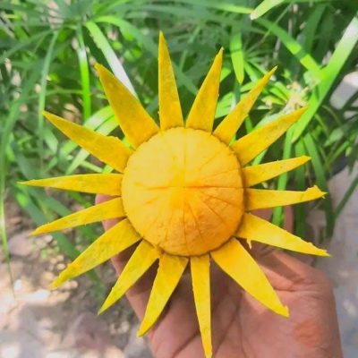 WhatsApp Image 2025-07-05 at 21.59.42_75ae6250